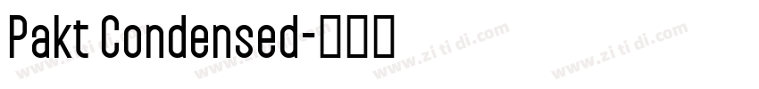 Pakt Condensed字体转换